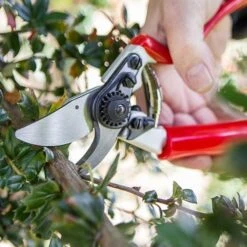 Darlac Expert Rotating Handle Pruner DP1031 -Garden Irrigation Tools darlac dp1031 pruner