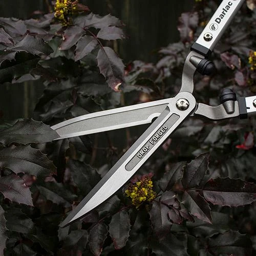 Darlac Expert Drop Forged Garden Shears 2 Darlac Expert Drop Forged Garden Shears - Image 2