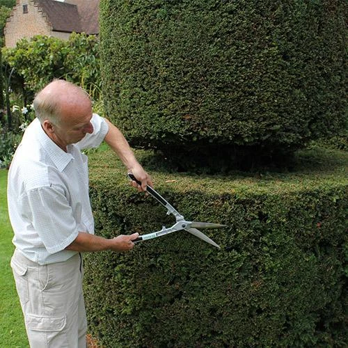 Darlac Lightweight Stainless Steel Shears - DP200 2 Darlac Lightweight Stainless Steel Shears - DP200 - Image 2