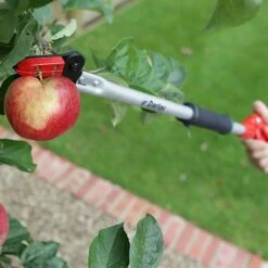 Darlac Snapper Long Reach Pruner DP110-650 -Garden Irrigation Tools dp110 650mm snapper