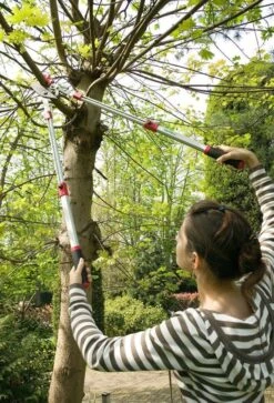 Darlac Heavy Duty Telescopic Ratchet Lopper DP974 -Garden Irrigation Tools dp974 darlac tele lopper