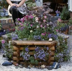 Norlog Medium Tree Seat Planter -Garden Irrigation Tools garden planter