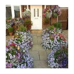 Hanging Basket Watering KIt Small