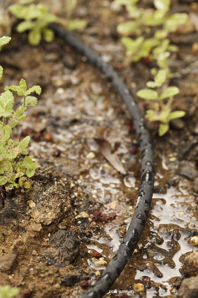 4mm Micro Soaker Hose 50 Meter 3 4mm Micro Soaker Hose 50 Meter - Image 3