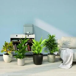 Claber Oasis Indoor Plant Watering System - 8054 -Garden Irrigation Tools oasis 8054
