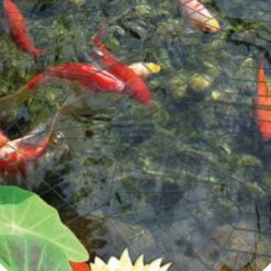 Pondxpert Pond Protector 30 Rings -Garden Irrigation Tools pondxpert pond heron protection rings